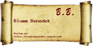 Blumm Benedek névjegykártya